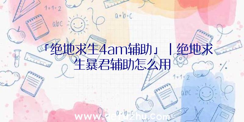 「绝地求生4am辅助」|绝地求生暴君辅助怎么用